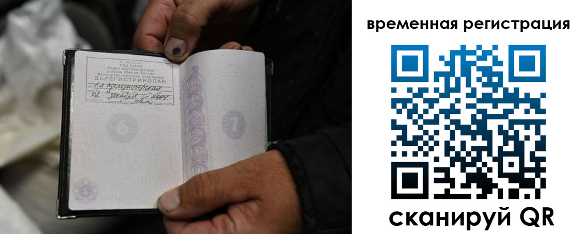 прописка поиск в Дрезне